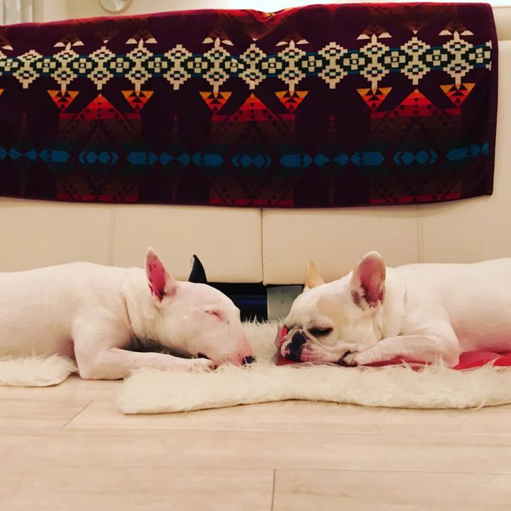 A3b605e5 bcda 4842 bcf4 b0cd4037031c