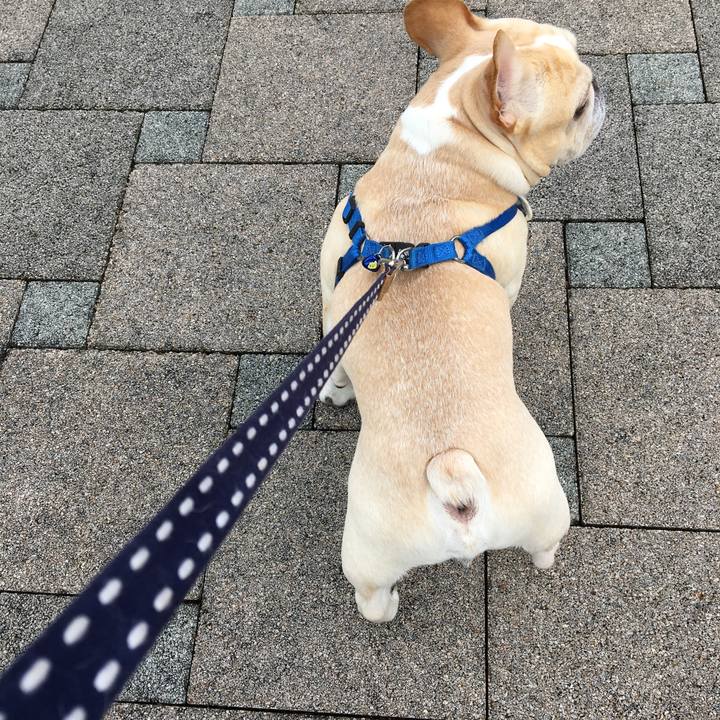 A3b65c54 db57 4246 af04 36567a6ea373