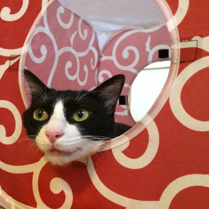 A3b6b577 f7c9 4f8e ac6d fa590d1a275a