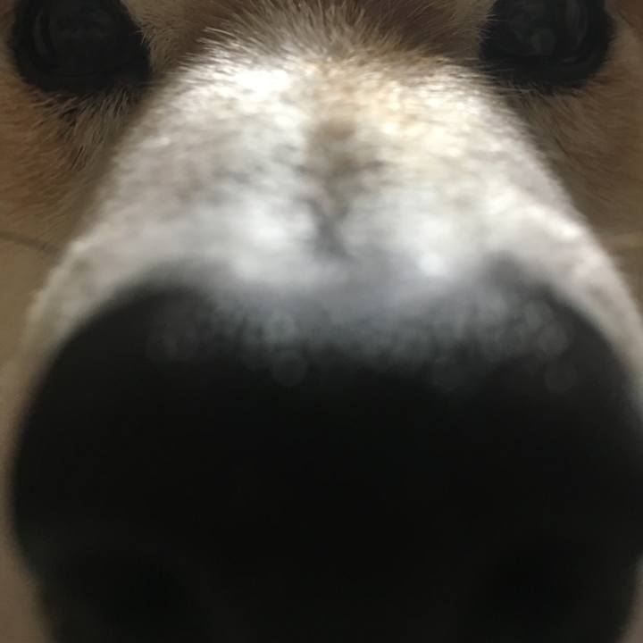 A3b6ed1b cb94 43bd ad76 ccedf438334e