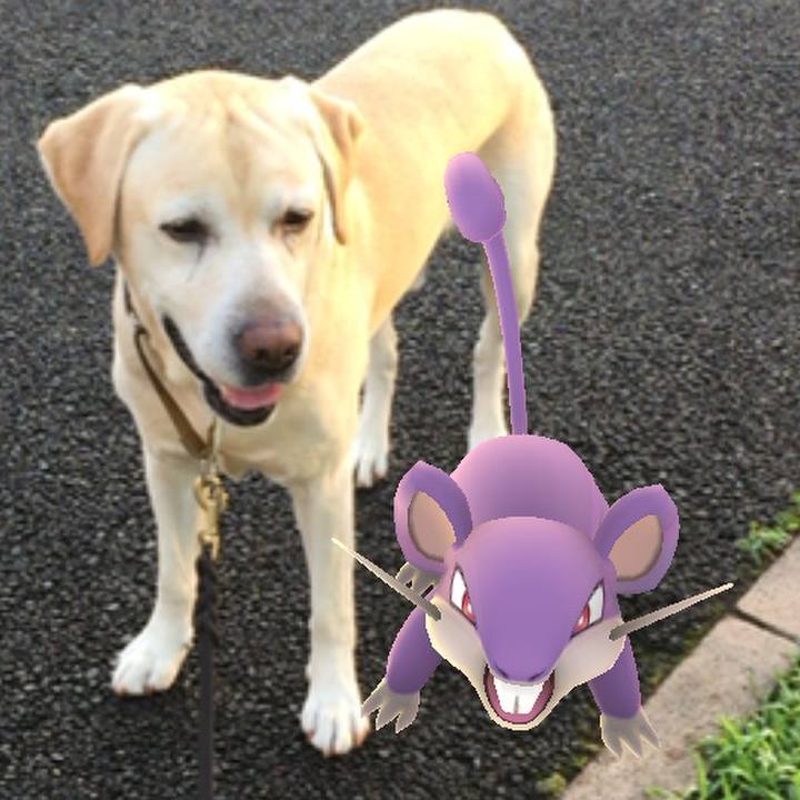 A3b702c0 5d71 459b 828e 5a85c11531af