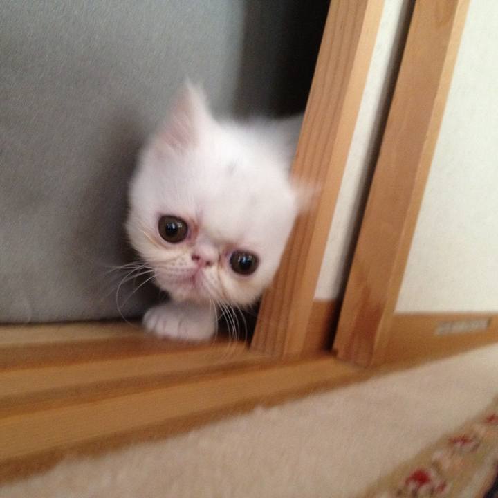 A3b757a1 0b3b 4ae8 823d 7bccdf8392df