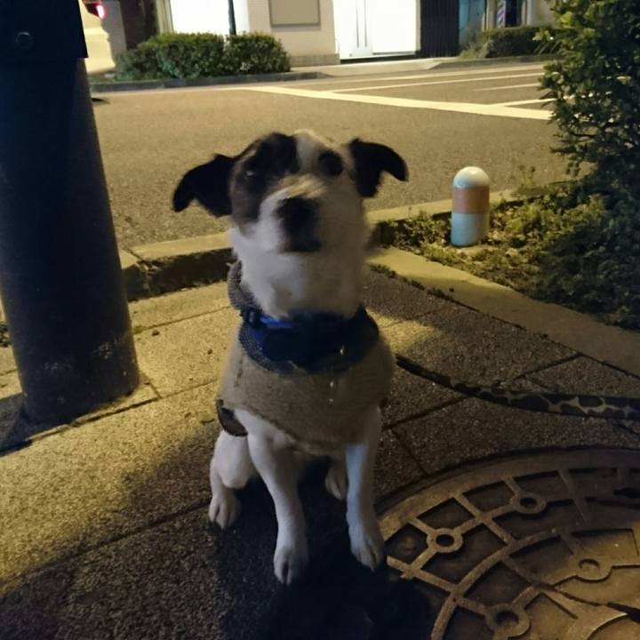 A3b7906a 8b93 4cac bd57 9bc6391464ee