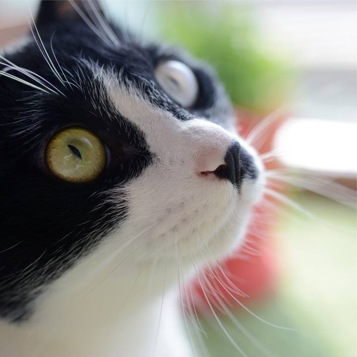 A3b7f524 7237 4a90 90a5 311259d8c622