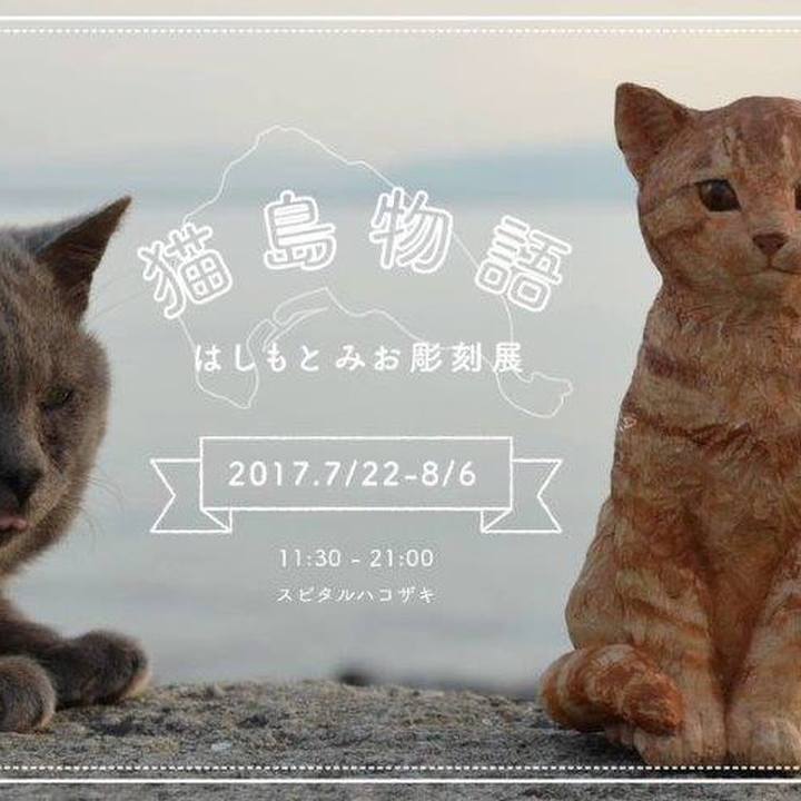 A3b9422e 00c6 4e9d 85fc be422cdc1de2