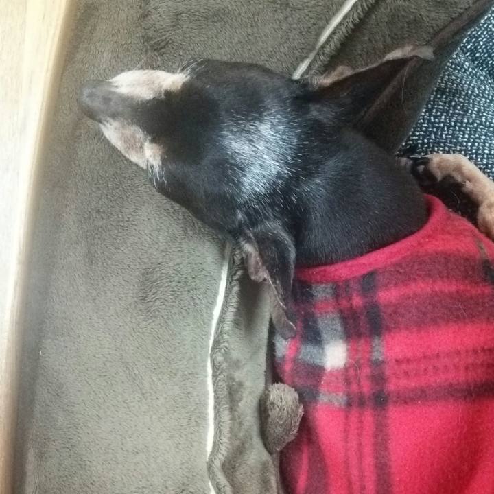 A3b95c89 9744 4d82 8194 c1510f98bb75