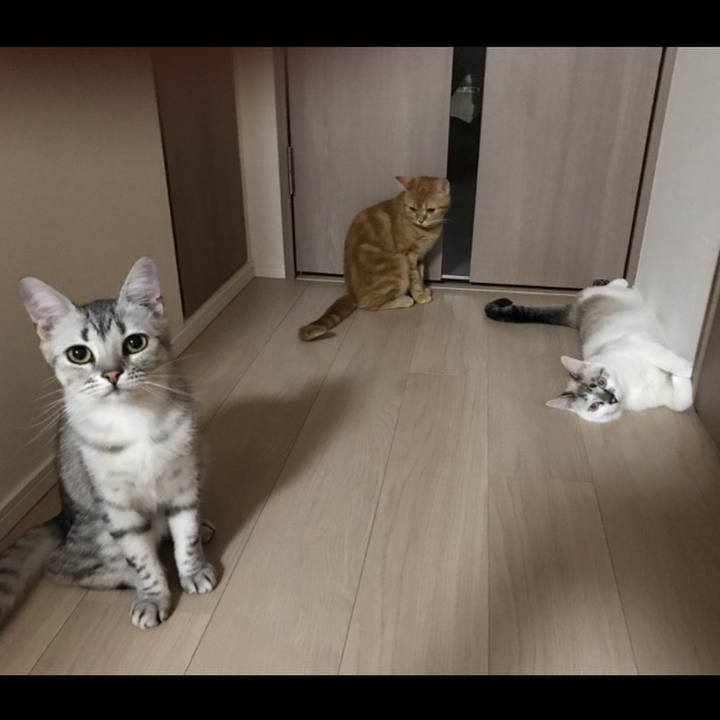 A3ba2d67 0622 4706 8132 83414dc545a8