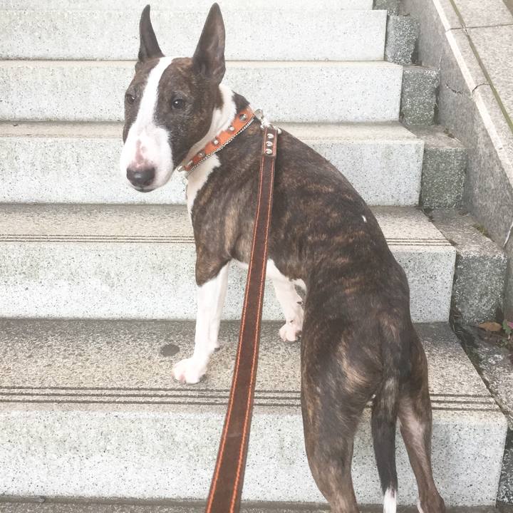 A3ba3146 b496 4907 b964 ba7627dce898