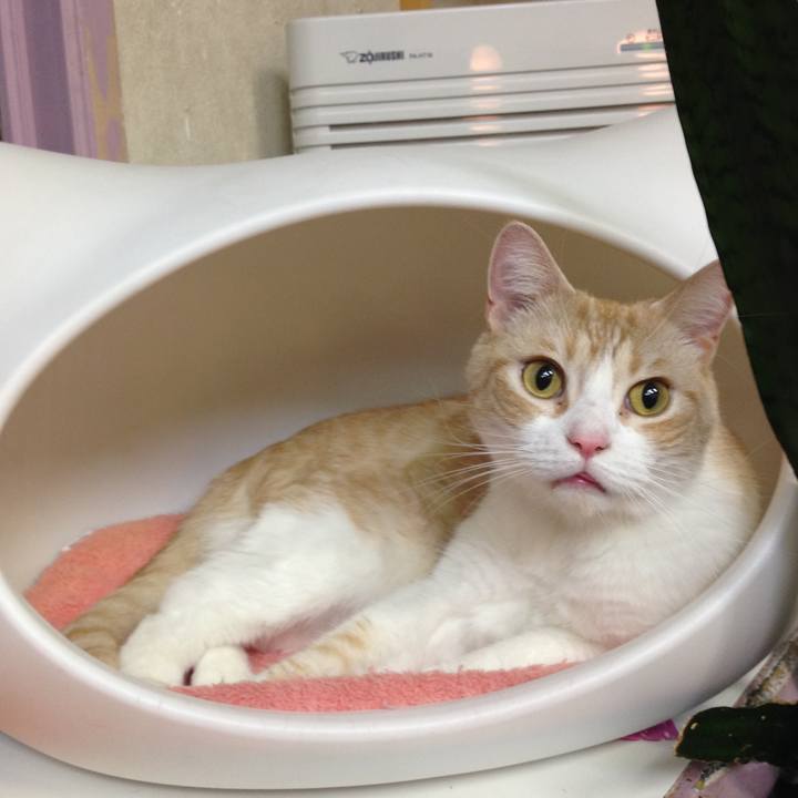 A3ba338e ec06 4e72 80e8 b26efbd0ceac