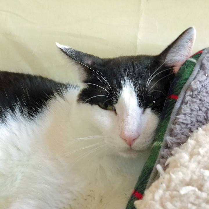 A3ba37c8 1c7a 4125 a116 4aa7e0df51b0