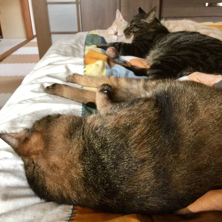 A3ba4065 ad05 4212 8bf4 59b0a6bacc77