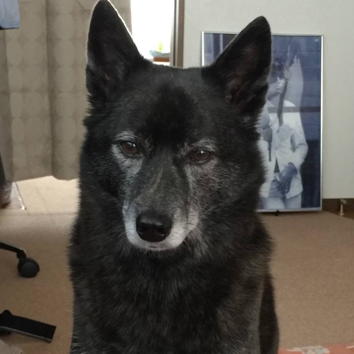 A3ba64d8 3f46 4001 8f1b 88c2fe1d6dc3