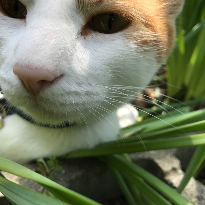 A3ba9d31 0488 49da 8845 d23783d31a39