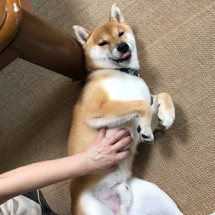 A3baa9b5 f30d 4206 b3a3 207f021c8fbe