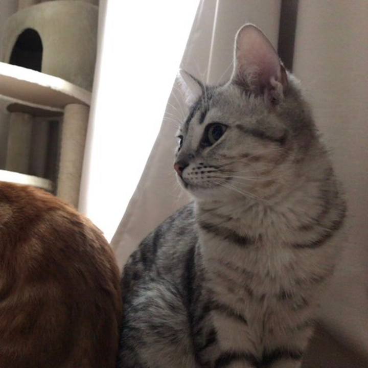 A3babd3c 14e3 4034 a030 eb057087ee1a