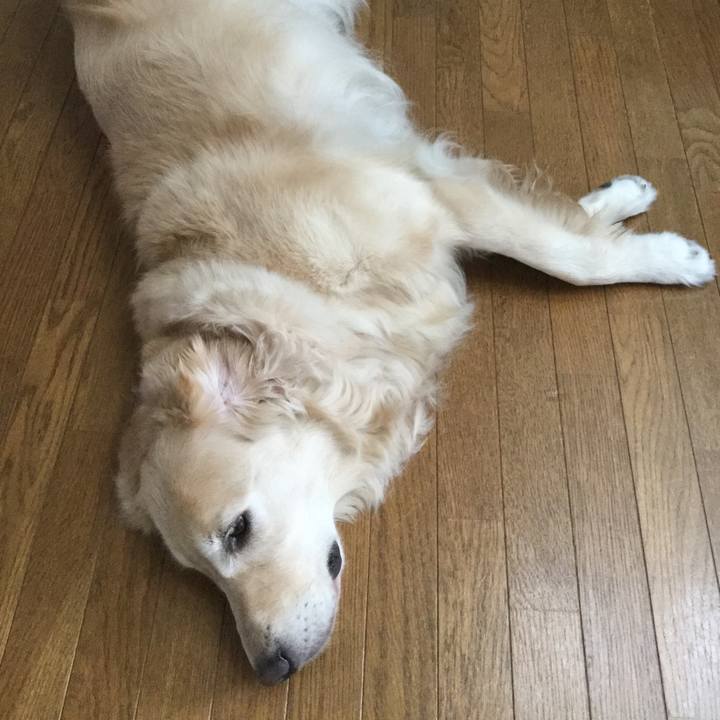 A3bae00c 6488 47eb 8f52 0dbfe7f921cb