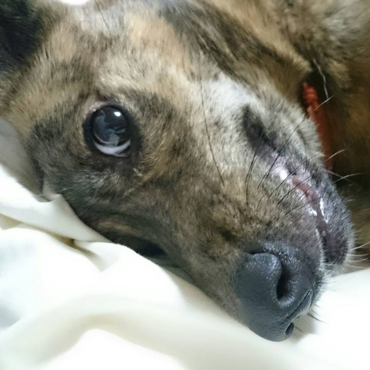 A3bb2e8b 184a 4260 ab9f ab9dc7bb8bb2