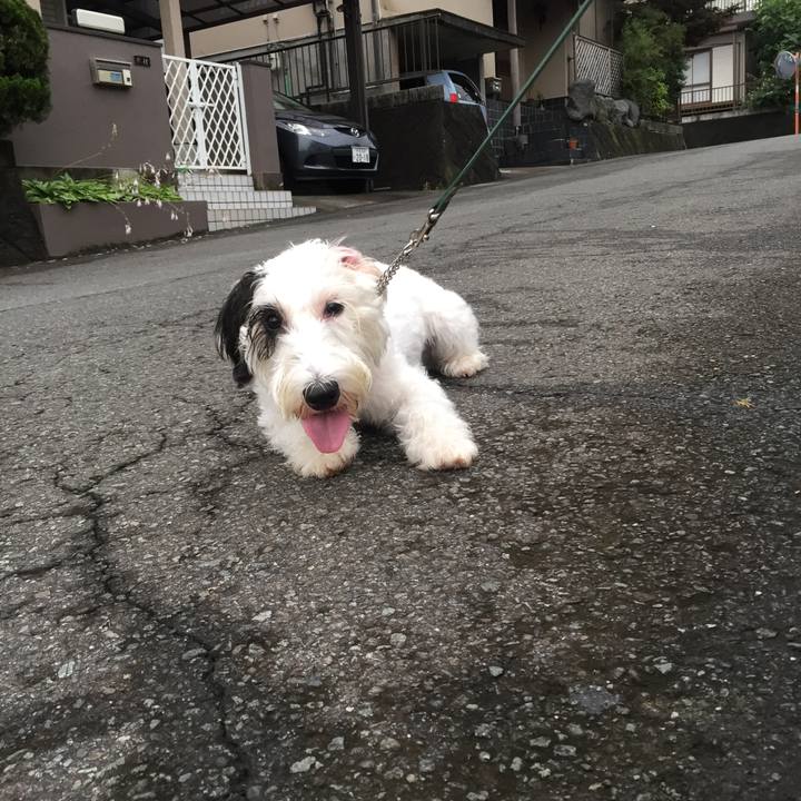 A3bb88a5 3ba4 49ad bc20 027259f2d6a5