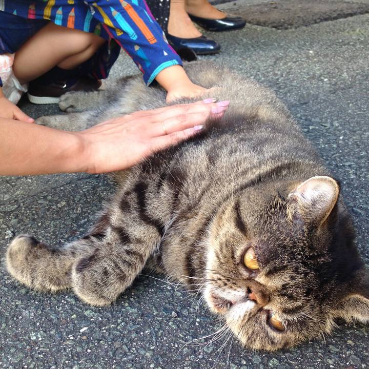 A3bba7fe 15c8 4bfd 9b90 351ca63a23ea