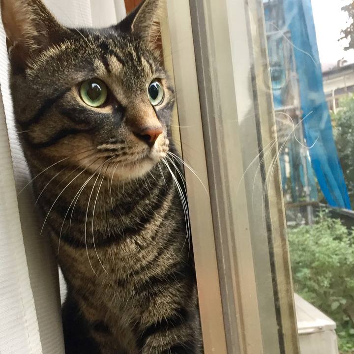 A3bba8c9 db35 404b a27b 2f114a81f5c6