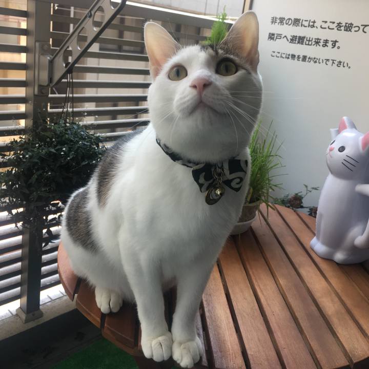 A3bc4ebc 90f8 40f6 ba09 8e6f520d93cd