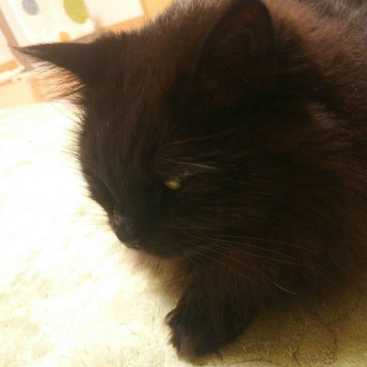 A3bc7706 f297 4d00 9989 3fc616567b1c