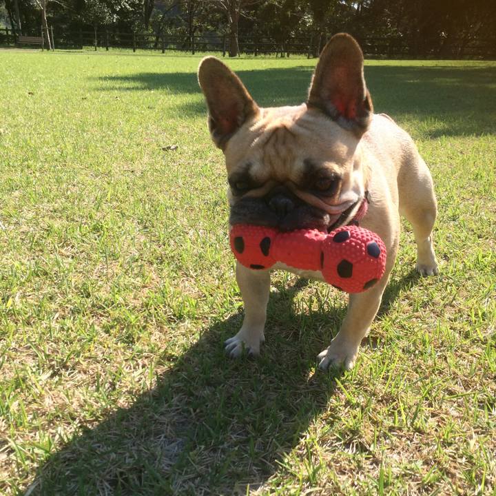 A3bca2f8 2e4c 421c 8f36 7ba02ce045bd