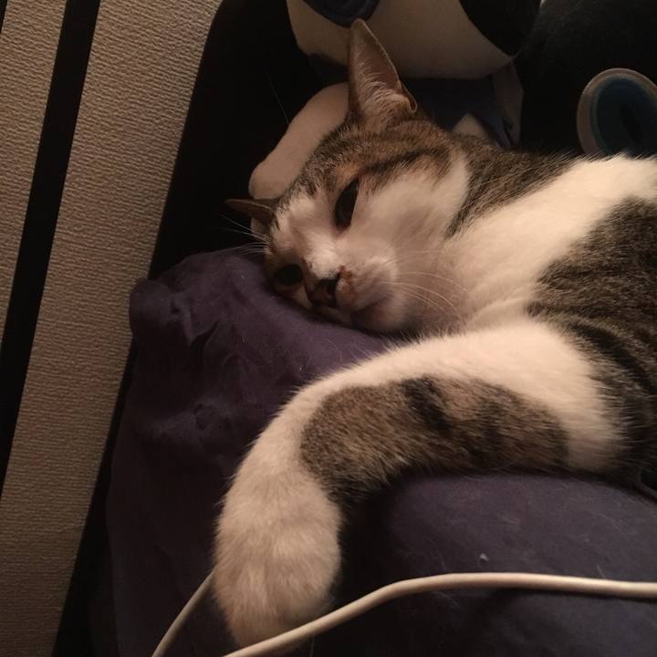 A3bcd63a fcf1 4253 83a7 923efc30af5c