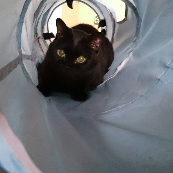 A3bd4978 090a 40e7 abe9 2d4fc4e4115b