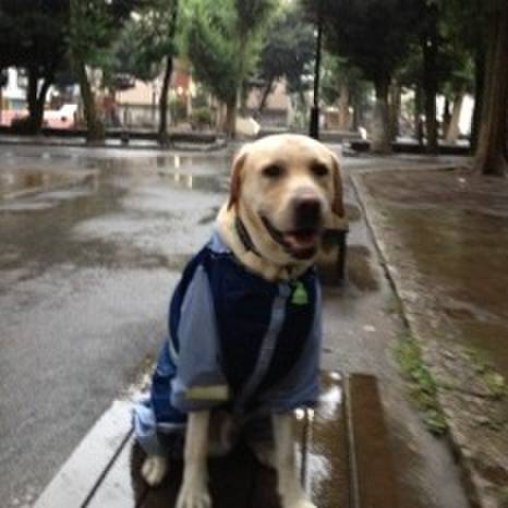 A3bd4afa 777e 4c93 b02f 0aea15aadf53