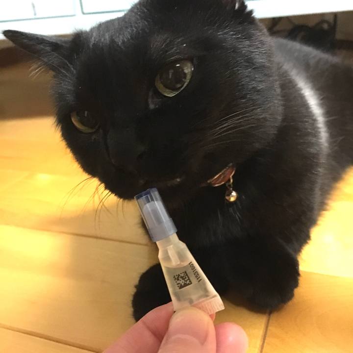 A3bd57d5 f3cc 48a1 91e2 16f87ca029fa