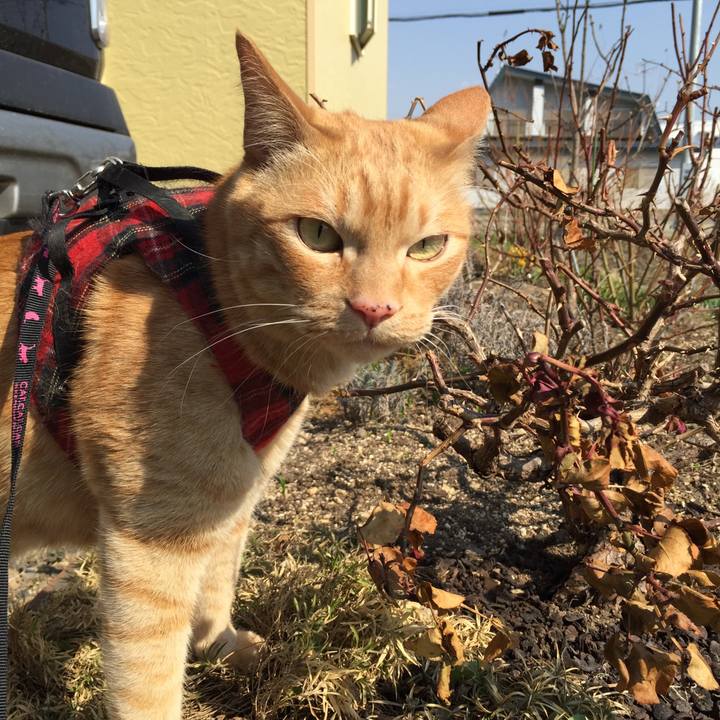 A3bd774c 8a26 4801 a53f 9812964e7cf1