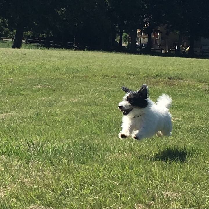 A3bde003 ac55 4b2c 9cb1 c24ec7e69e0d