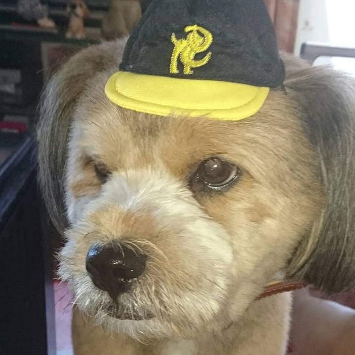 A3be0ba0 f7e8 4106 83d9 884e92e7b33e