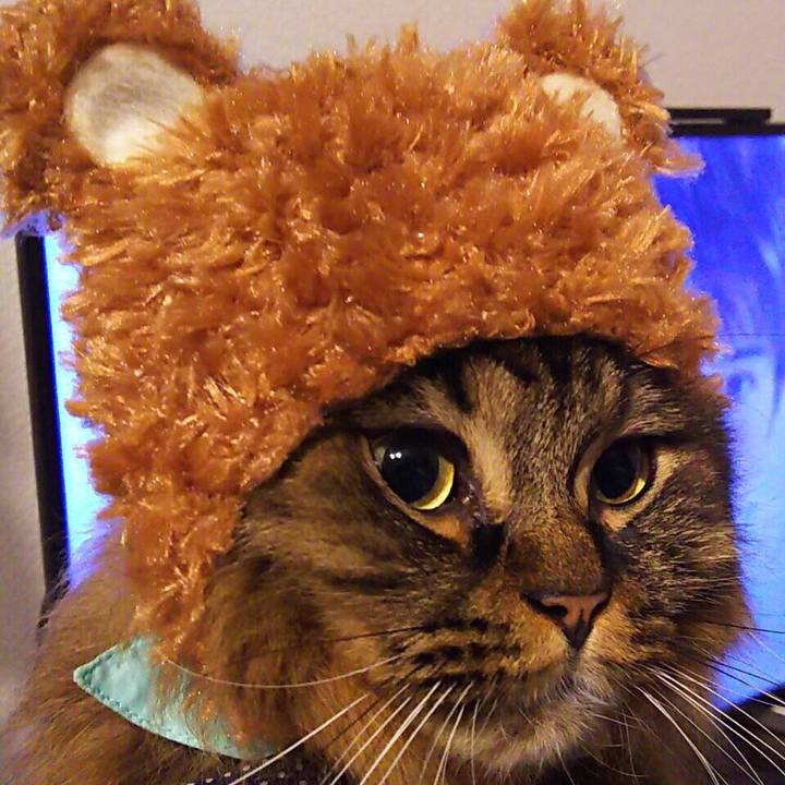 A3be6c61 1c61 4527 9759 45fccf09cb3f