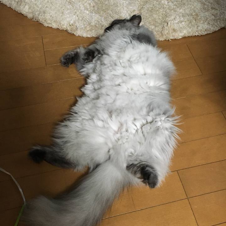 A3bff229 8050 43b5 b6c7 7b018924d9db