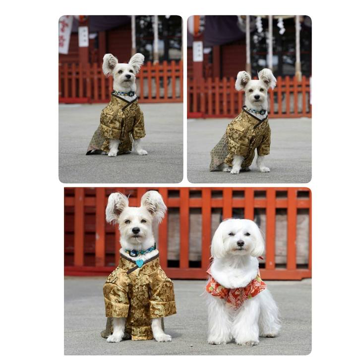 A3c00595 d6f9 4589 b4d1 f1f68c965a7b