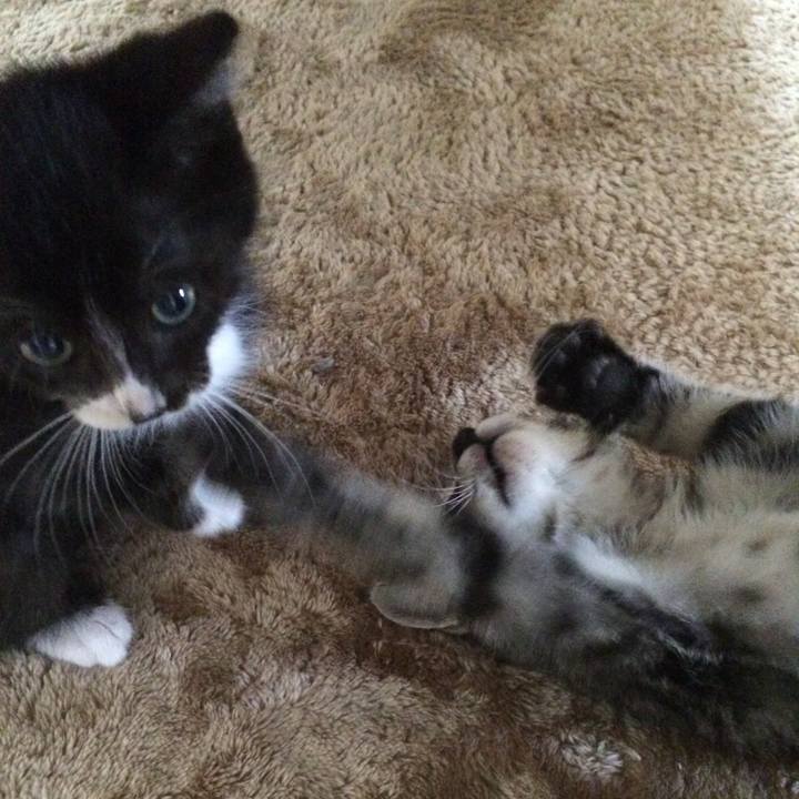 A3c00ff5 7e08 45f2 ba94 0908524cb964