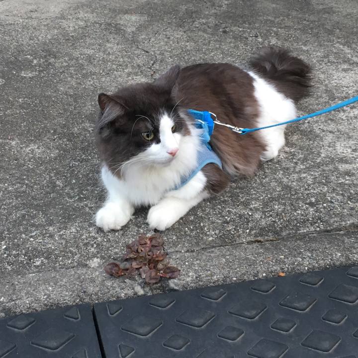 A3c055a1 6ec0 4354 bbbc 493f2e903b66