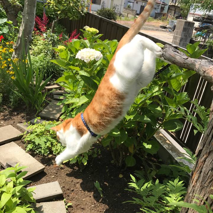 A3c06e4c 2c81 4fa4 ba18 6767429cfb29