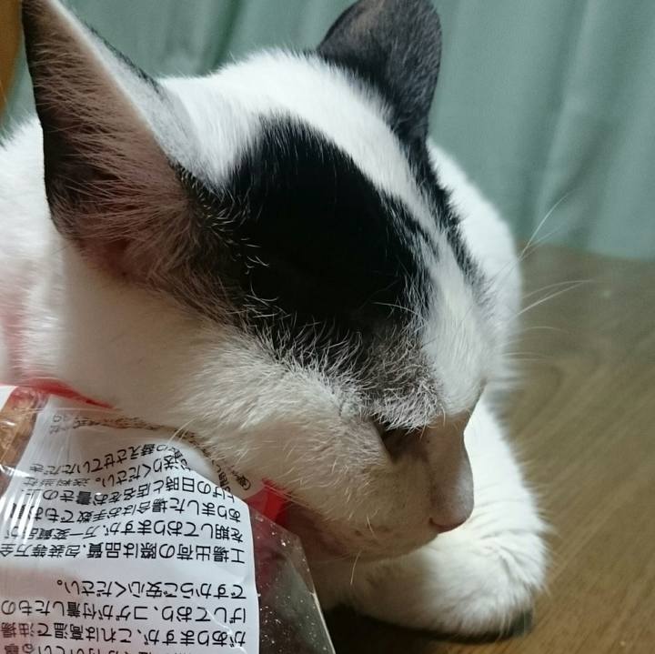 A3c08a4e d43a 4e57 b605 d8a005719bd0