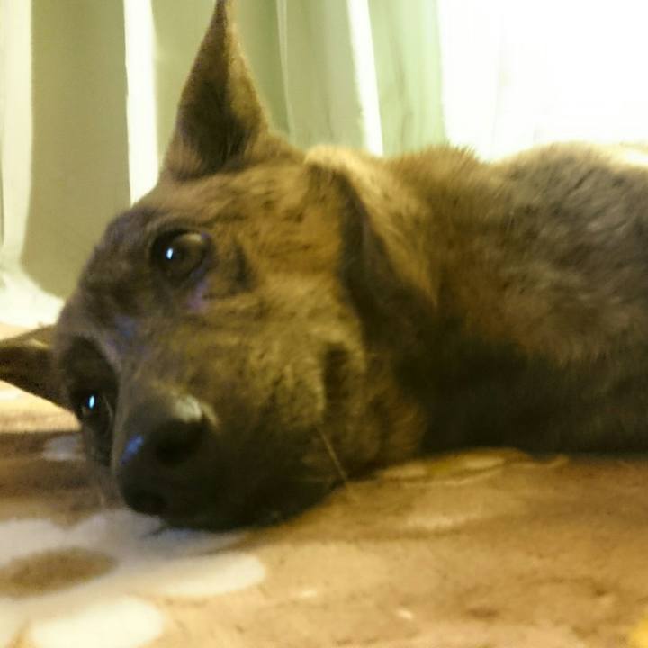 A3c08c24 5fe6 49ef 9a8a 969f303668bf