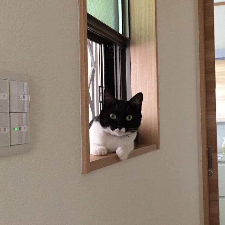 A3c09638 a78a 4677 9559 18a7ddc26633