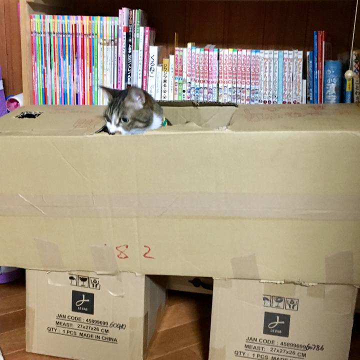 A3c1b3d0 4bde 43b8 bee1 a5563f5feb75