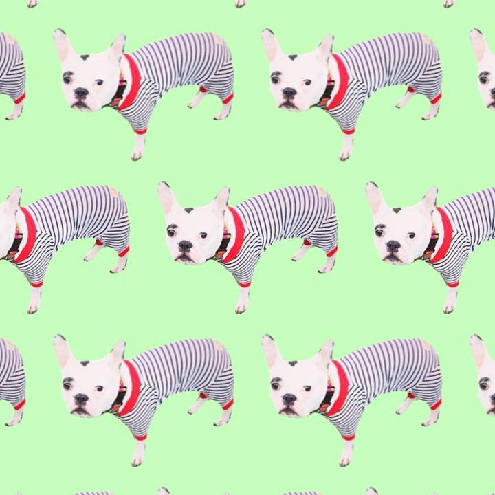 A3c1d54a d844 484d b7e4 bc25c487839d