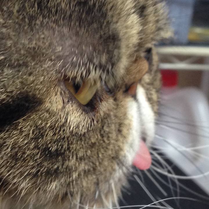 A3c27c38 2f45 44e2 9c60 ceb8b4e3a3fe