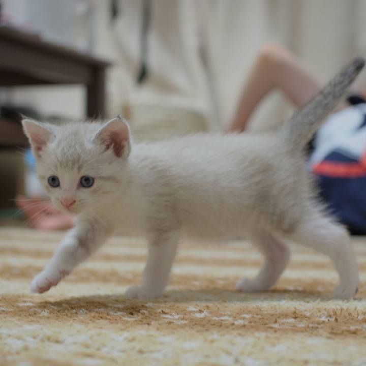 A3c3407f 93e2 47f1 80d3 098bc2799d09