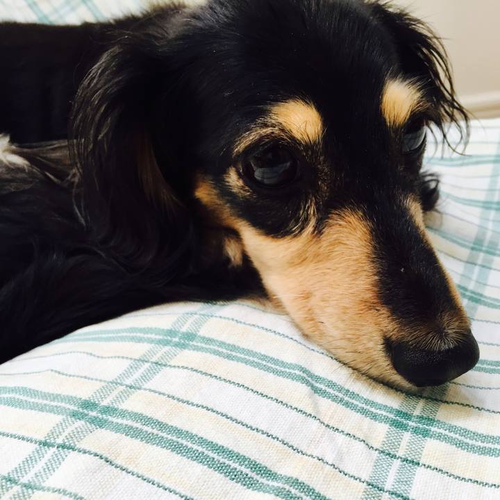 A3c3c775 9b05 43f6 bc00 69135eb8aba0