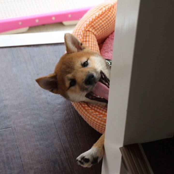 A3c4215f 754c 414b b2d8 fca160060429