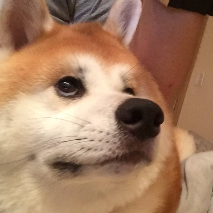 A3c4477f d654 4955 9f0a 438a354d609a